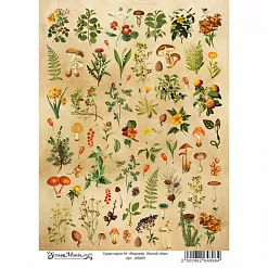 Скрап-карта А4 "Ворожея. Лесной сбор" (ScrapMania)