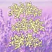 Набор украшений из чипборда "Вереск" (Muscari)