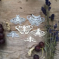 Нож "Крылатое трио 2", 6,1х3,6 см (MimiCut)