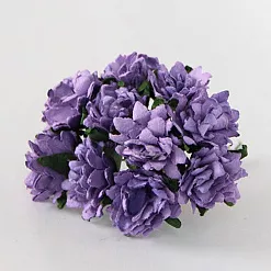 Букет астр "Сиреневые", 10 шт (Craft)
