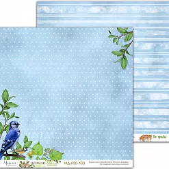 Набор бумаги 30х30 см "Домик лесника. Базовый", 6 листов (Muscari)