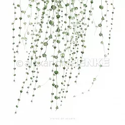 Бумага "String of hearts" Бумага "String of hearts"