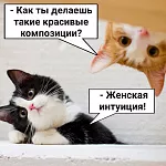 Скрапбукинг для начинающих. Скрапь с юмором. Женская интуиция.