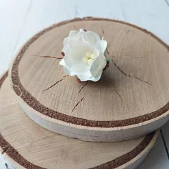 Цветок яблони "Белый", 2,5 см, 1 шт (Craft) Цветок яблони "Белый", 2,5 см, 1 шт (Craft)