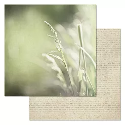 Набор бумаги 20х20 см "Родная", 12 листов (ScrapMania)