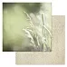 Набор бумаги 20х20 см "Родная", 12 листов (ScrapMania)