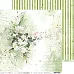 Набор бумаги 30х30 см "Greenery invitation", 6 листов (CraftO'clock)