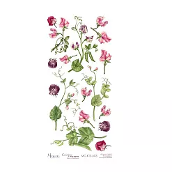 Бумага 15х30 см "Смотри сердцем. Картинки для вырезания 03" (Muscari) Бумага 15х30 см "Смотри сердцем. Картинки для вырезания 03" (Muscari)