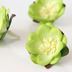 Цветок сакуры "Зеленый двухтоновый" (Craft) Цветок сакуры "Зеленый двухтоновый" (Craft)