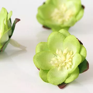 Цветок сакуры "Зеленый двухтоновый" (Craft)