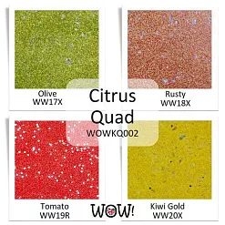 Набор пудры для эмбоссинга непрозрачной "Citrus. Цитрус", 4 шт (WOW)