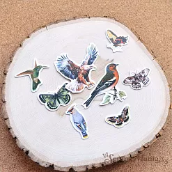 Набор высечек из бумаги "Заповедник", 43 шт (ScrapMania)