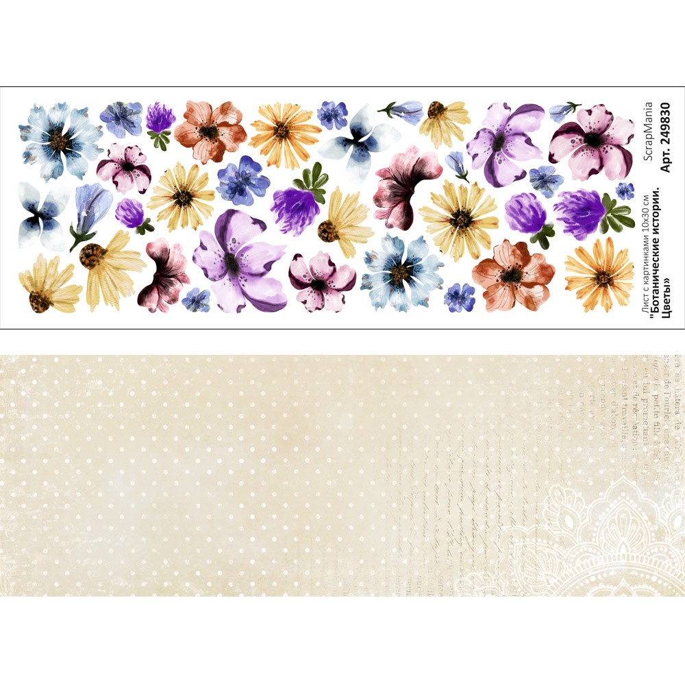 Лист с картинками 10х30 см "Ботанические истории. Цветы" (ScrapMania ...