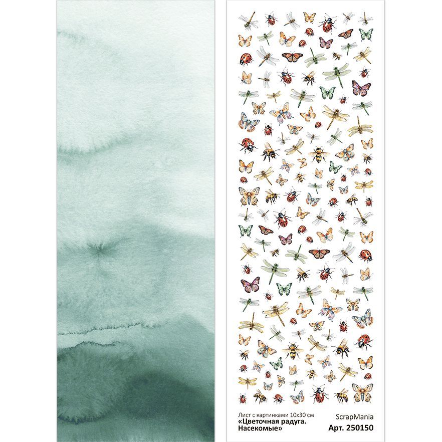 Листскартинками10х30смЦветочнаярадуга.Насекомые(ScrapMania)