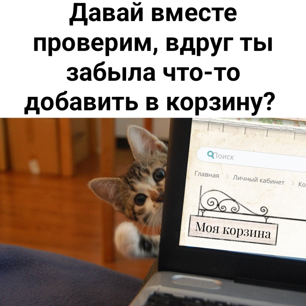 OcXCcmH9yAk.jpg OcXCcmH9yAk.jpg