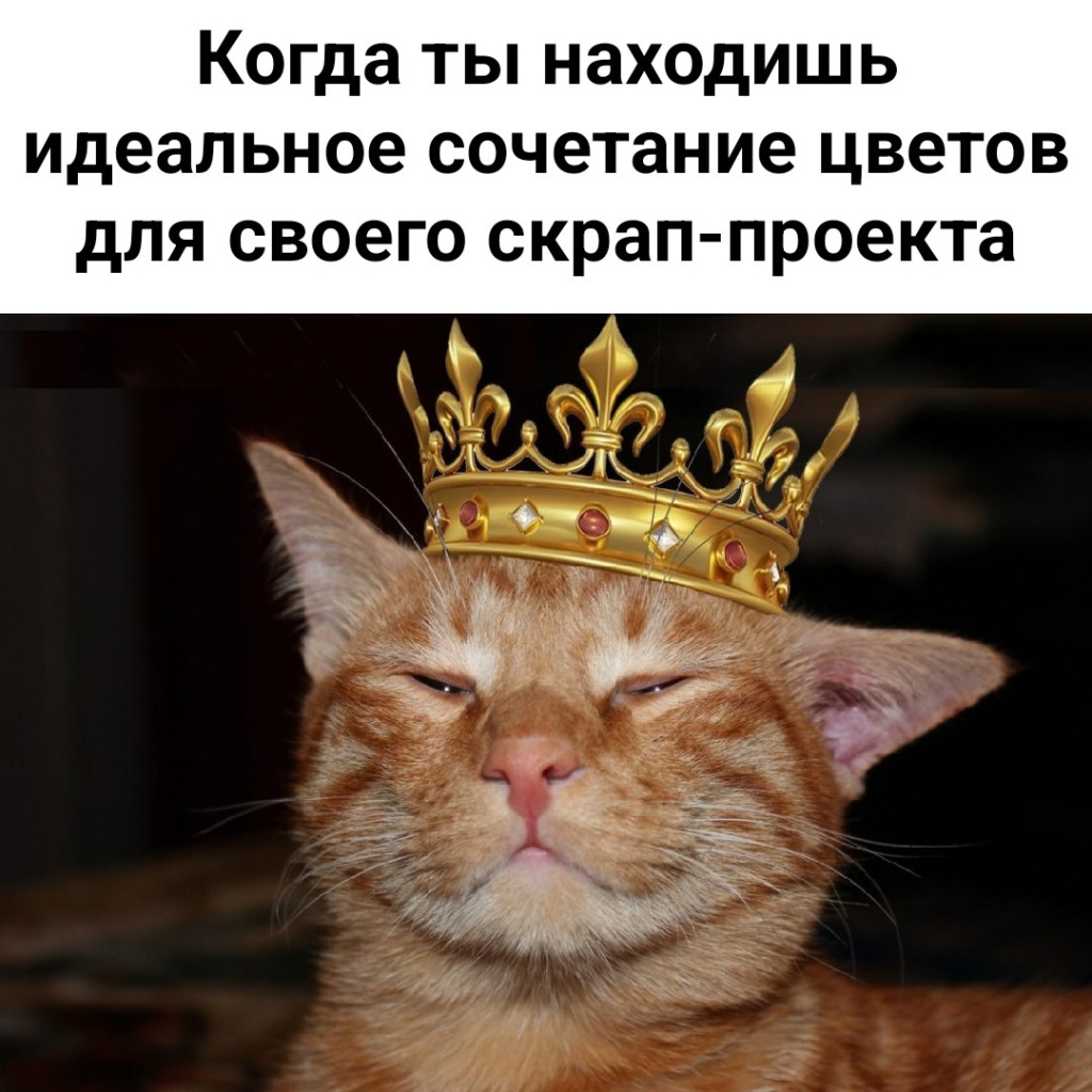 Pp28iTLnhY0.jpg Pp28iTLnhY0.jpg