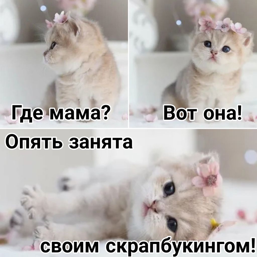 FavOBEuHHAk.jpg FavOBEuHHAk.jpg