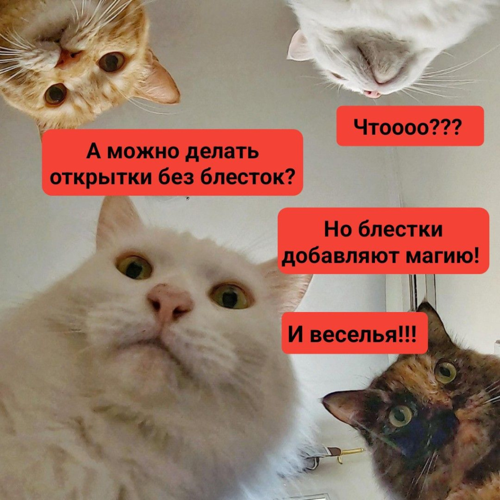5LVV_7shmnw.jpg 5LVV_7shmnw.jpg