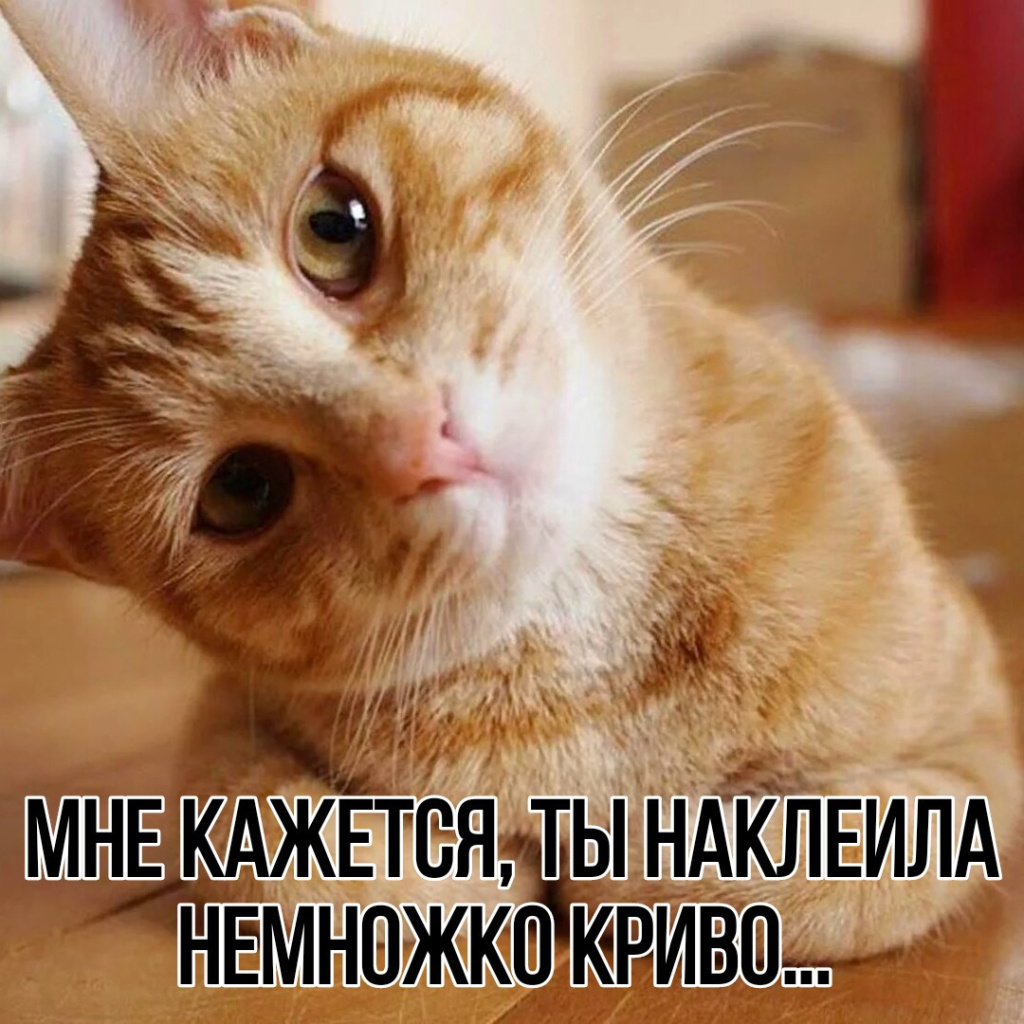 r9pJCOwldXE.jpg r9pJCOwldXE.jpg