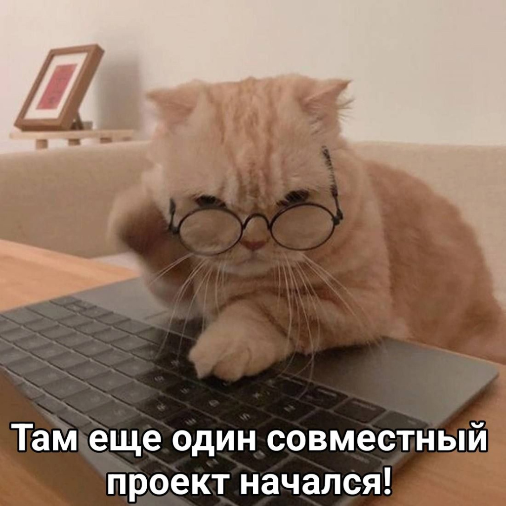 Py9f-mldztM.jpg Py9f-mldztM.jpg