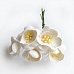 Букет цветочков вишни "Айвори", 5 шт (Fleur-design)