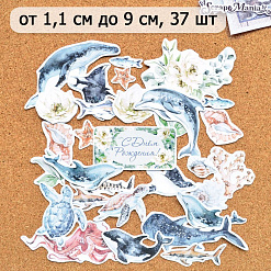 Набор высечек из бумаги "Океания", 37 шт (ScrapMania)
