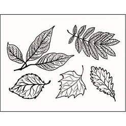 Штамп "Любимые листья 2", 4,2х3,8 см (Арт-кладовая)
