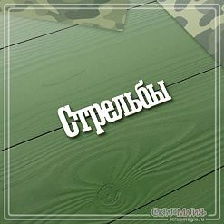 Чипборд "Стрельбы", 4,4х1,5 см (СкрапМагия)