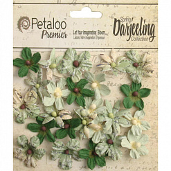 Набор мини-цветочков "Дикие, нежно-зеленые" (Petaloo)