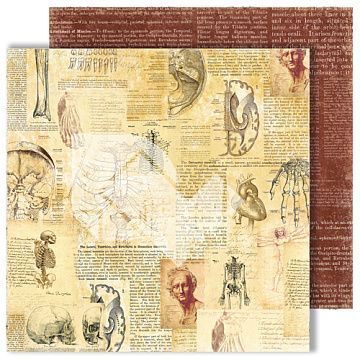 Бумага "Homo sapiens. Письмена" (DreamLight Studio)