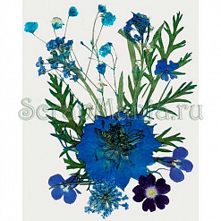 Набор сухоцветов "Синие" (Stamperia)