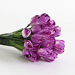 Набор тюльпанов "Сиреневые", 10 шт (Craft)