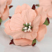 Цветок пиона "Розово-персиковый светлый", 6 см, 1 шт (Craft)