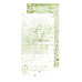 Набор бумаги 30х15 см "Greenery invitation. Basic", 18 листов (CraftO'clock)
