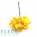 Букет лилий "Желтые", 5 шт (Fleur-design)