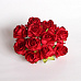 Букет кудрявых роз "Красный", 10 шт (Craft)