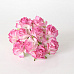 Букет кудрявых роз "Белый с розовыми кончиками 2", 10 шт (Craft)