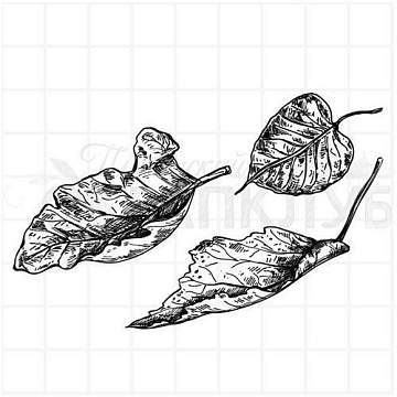 Штамп "Пожухлые листья 2", 5х3,5 см (Скрапклуб)