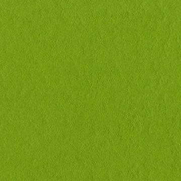 Кардсток Bazzill Basics 30,5х30,5  см однотонный с текстурой апельсиновой кожуры, цвет ярко-зеленый