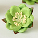 Цветок сакуры "Зеленый" (Craft)