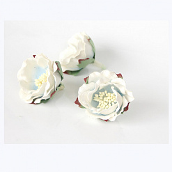 Цветок полиантовой розы "Белый с голубой серединой", 1 шт (Craft)