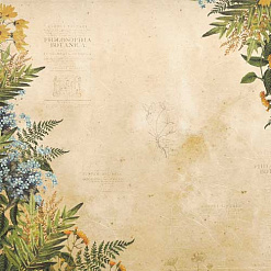 Набор бумаги 20х20 см "Botany summer", 10 листов (Фабрика Декору)