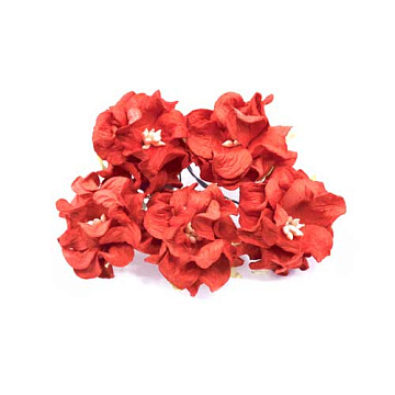 Букет гардений "Красные", 5 шт (Fleur-design)