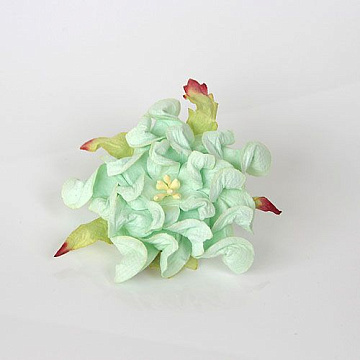 Гардения большая "Мятная", 7 см, 1 шт (Craft)