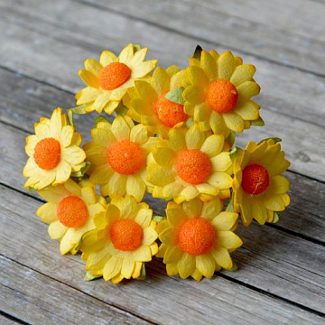 Букет ромашек "Желтый", 10 шт (Craft)
