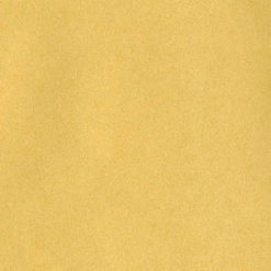 Пергаментная бумага Bazzill Basics 21х29,5 см, цвет золотистый