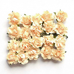 Набор бумажных роз с открытым бутоном "Бельведер. Крем-брюле", 20 шт (Mr.Painter)