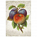 Тканевая карточка мини "Фруктовый сад. Сливово-яблочное чудо" (ScrapMania)