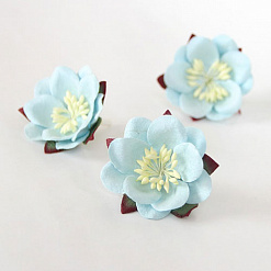 Цветок сакуры "Голубой" (Craft)