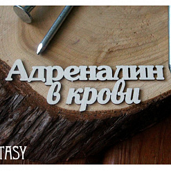 Украшение из чипборда "Адреналин в крови" (Fantasy)